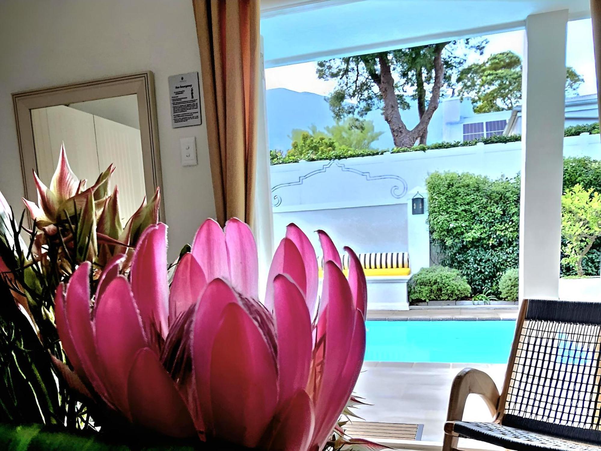 Fleur Du Soleil Luxury Guesthouse Франшхоек Екстериор снимка
